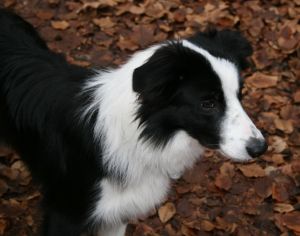 30010-12-2006 063.jpg